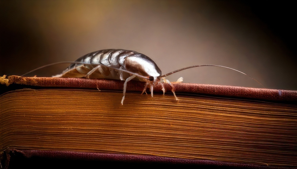 Dedicated to Creating Safe, Pest-Free Environments